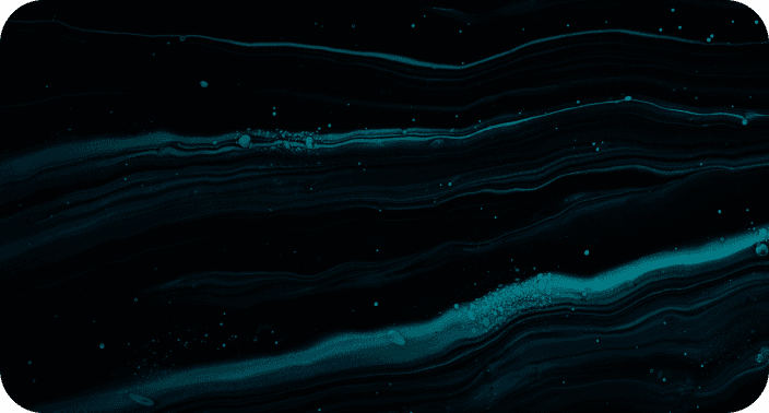 AI Solution Rollout & Success Follow-Up